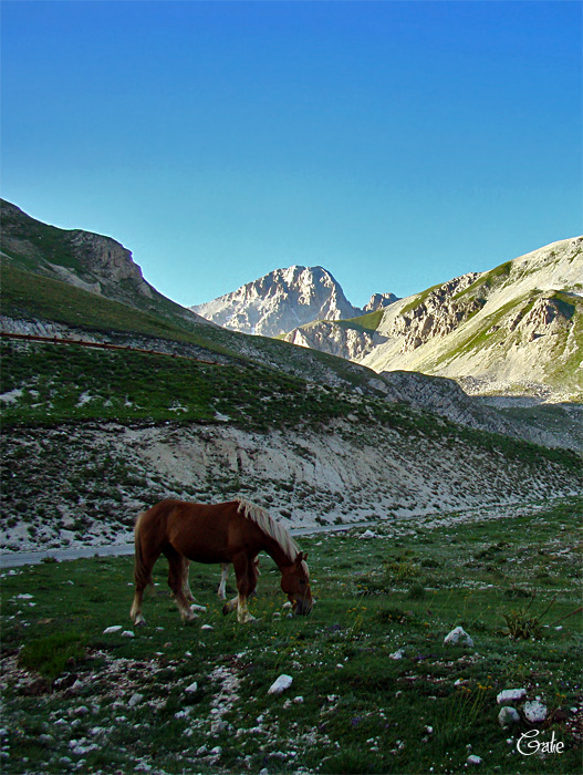 Gran Sasso d''Italia - salita al Corno Grande, 2912 mt.